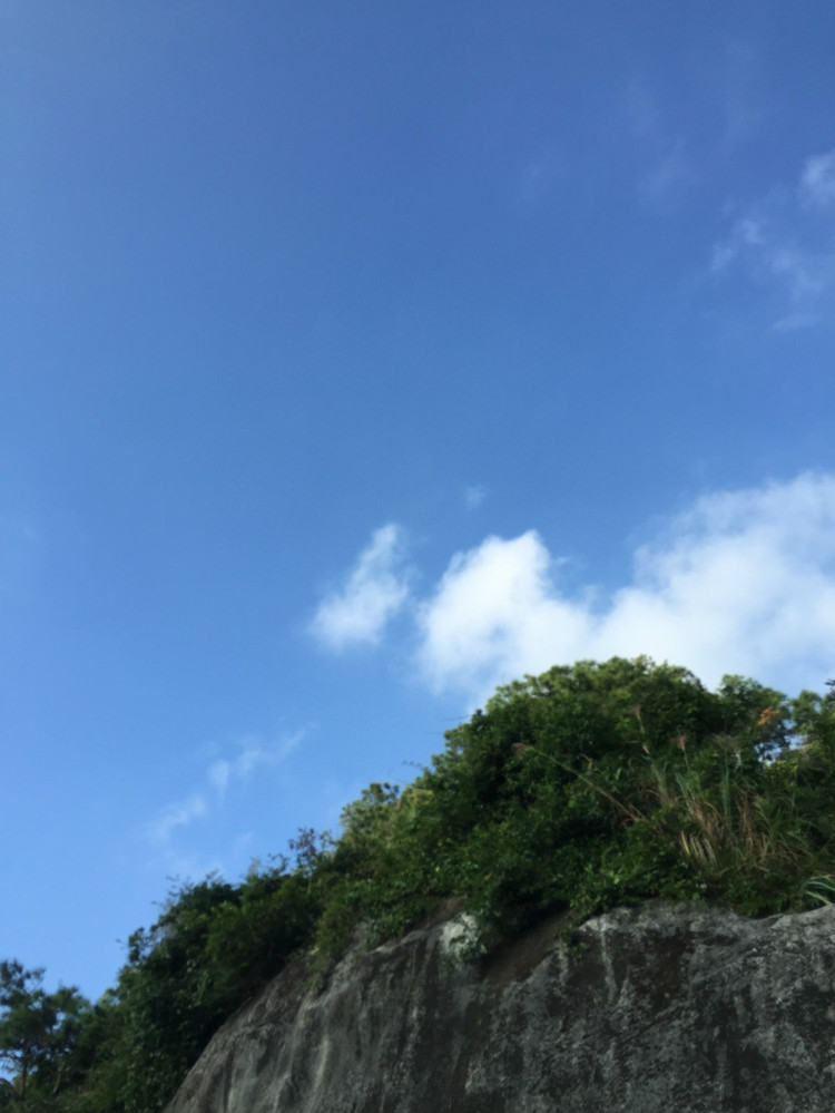行山種花種菜 - Daphne Tsui - 因?yàn)閻?ài)所以愛(ài)