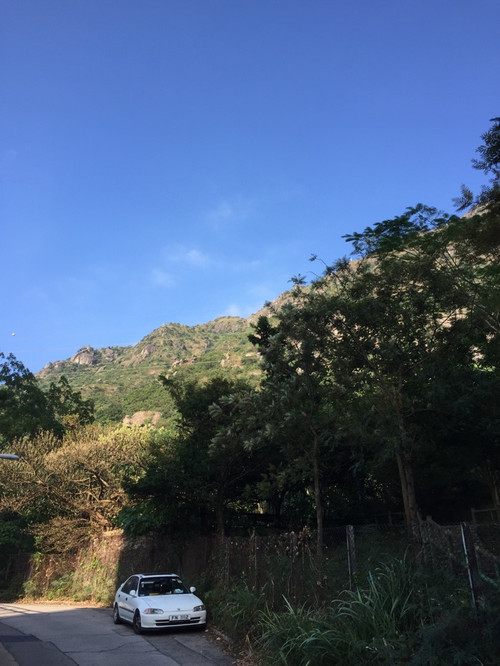 行山種花種菜 - Daphne Tsui - 因?yàn)閻?ài)所以愛(ài)