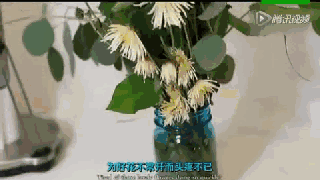 75個生活小妙招,不收藏虧大了! - 走在路上 - 走在路上