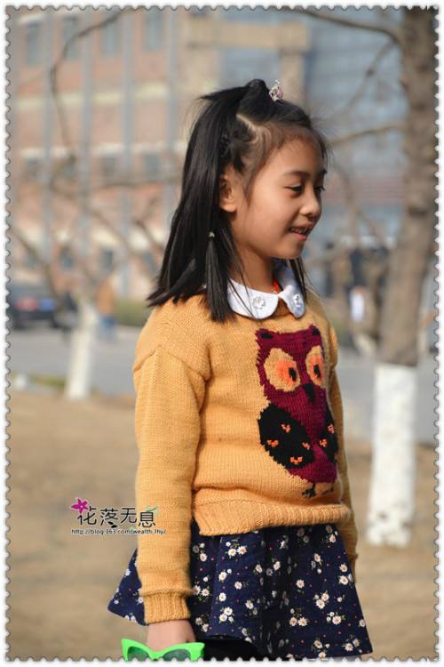 【花落無息】萌系貓頭鷹（1505） - 花落無息 - 花落無息