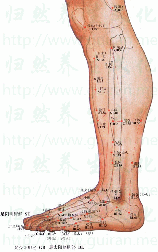 人體經絡是個大藥庫,請經常按摩一下這些穴位! - 緣來是你 - 網絡雜談之百科全書大全 人體經絡是個大藥庫,請經常按摩一下這些穴位! - 緣來是你 - 網絡雜談之百科全書大全