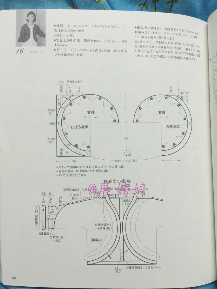 日亞新書：美針編奧林巴斯貴婦人50周年超人氣精選集 （美しいかぎ針編ベストセレクション 永遠のエミーグランデ） - 展娉婷 - 展娉婷的鉤針世界