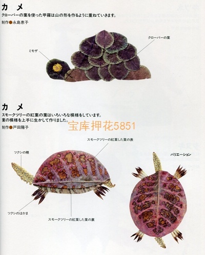 28657-15.jpg