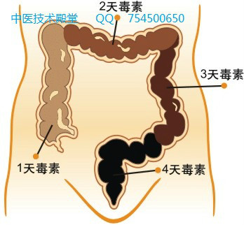 教你如何清腸,教你早晨清腸、除口臭、色斑、大肚腩 - 紅陽聚寶 - 紅陽聚寶 歡迎來訪 圖片