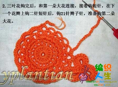 “菊影”一線連（一片藍(lán)天老師的教程） - 明天 - 明天更美好