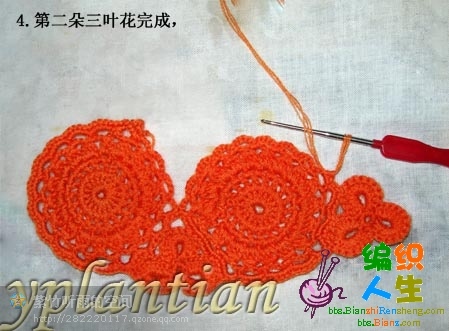 “菊影”一線連（一片藍(lán)天老師的教程） - 明天 - 明天更美好