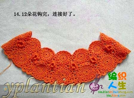 “菊影”一線連（一片藍(lán)天老師的教程） - 明天 - 明天更美好