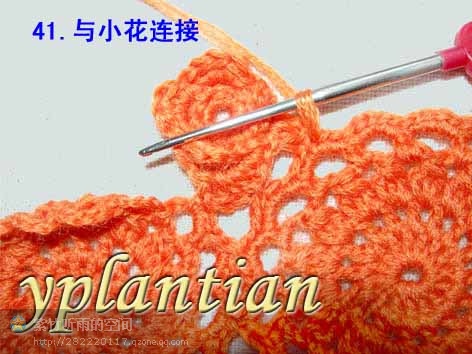 “菊影”一線連（一片藍(lán)天老師的教程） - 明天 - 明天更美好
