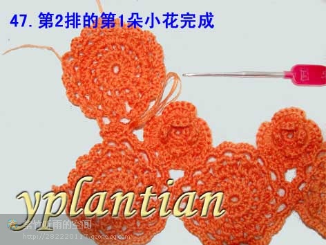 “菊影”一線連（一片藍(lán)天老師的教程） - 明天 - 明天更美好