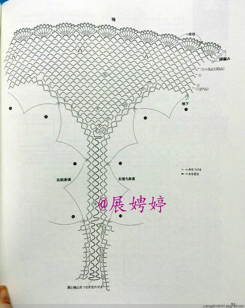 2015年07月22日 - 雨彤 - 蓮心不染